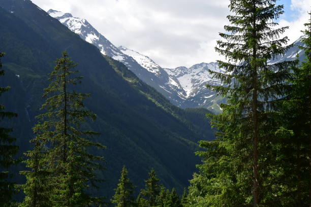 istock Beautiful landscape in Stubai valley mountains behind 1325602076