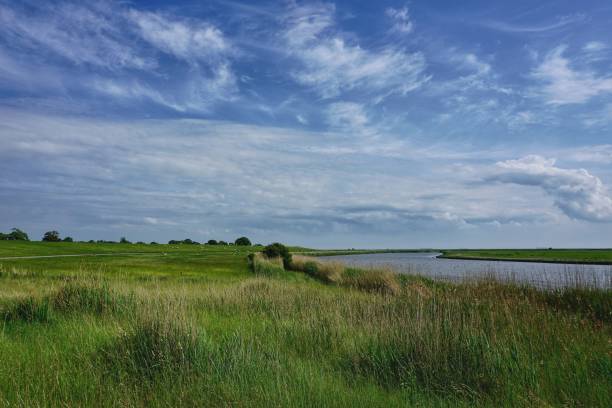 istock Rural scene along the Elbe river in Schleswig-Holstein 1325603502