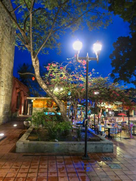 istock A Rainy Colorful Night in Oaxaca 1325608139