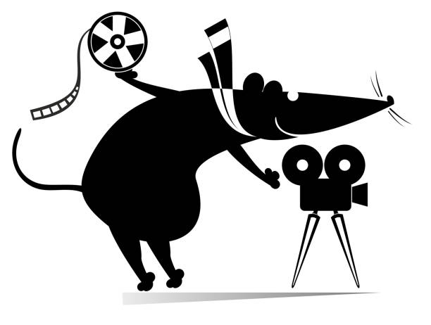 Cartoon rat or mouse, movie projector, tape illustration Funny rat or mouse stands near the movie projector and holds a tape black on white opossum silhouette stock illustrations