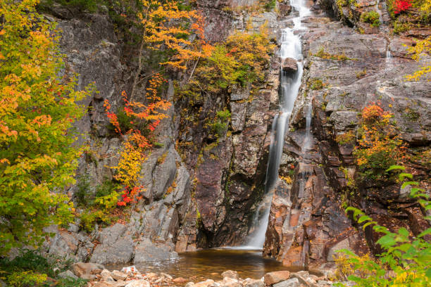 piękna kaskada jesienią, jesienne liście. - silver cascade falls zdjęcia i obrazy z banku zdjęć