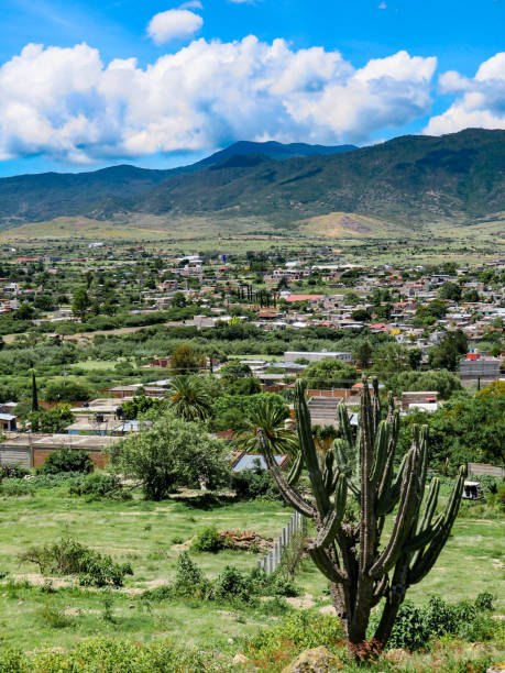 istock The Cactus-strewn Valley 1325616501