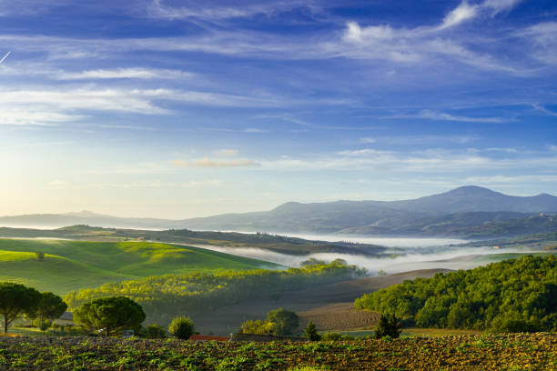 istock Fresh Green tuscany landscape in spring time at sunrise. 1325619737