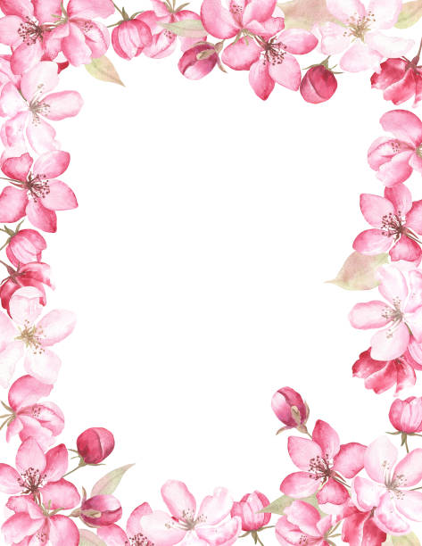 istock Floral frame of apple blossom painted in watercolor, on white isolated background. 1325625125