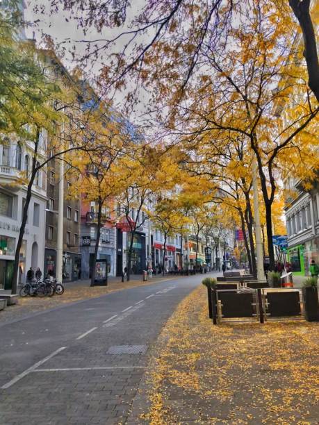 istock Autumn in Vienna 1325625333