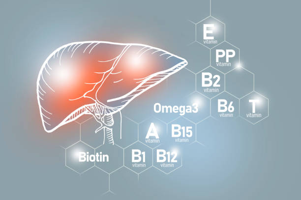 Essential nutrients for Liver health including Omega-3, Carnitine, Biotin, Vitamin PP, Vitamin B. Design set of main human organs with molecular grid, micronutrients and vitamins on light gray background. liver failure stock pictures, royalty-free photos & images