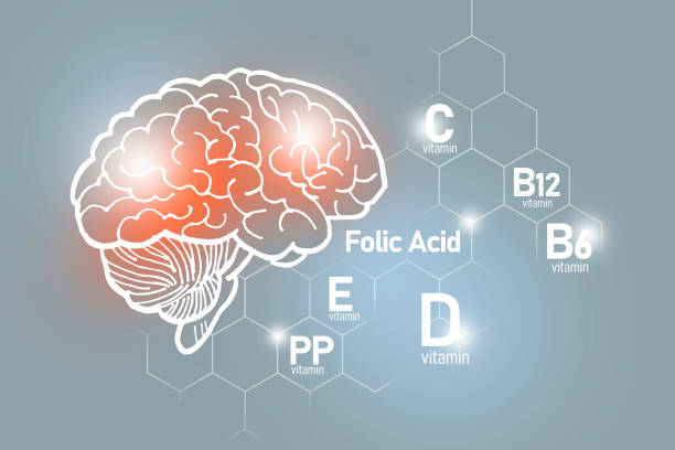 nutrientes esenciales para la salud del cerebro incluyendo vitamina c, vitamina b, ácido fólico, vitamina pp. - fatty acid fotografías e imágenes de stock