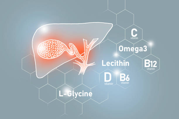 основные питательные вещества для здоровья желчного пузыря, включая омега 3, l-глицин, омега3, лецитин. - lecithin стоковые фото и изображения