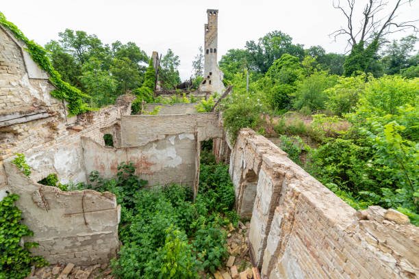 The abandoned Fernbach Castle, also known as Baba Pusta, was built in 1906 by Karol Fernbach for his own needs. Aleksa Santic, Serbia - June 06, 2021: The abandoned Fernbach Castle, also known as Baba Pusta, was built in 1906 by Karol Fernbach for his own needs. pusta stock pictures, royalty-free photos & images