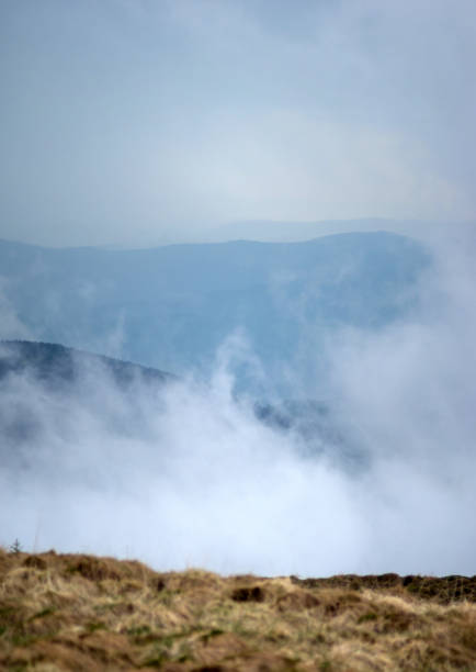 niebla en el fondo de las montañas en los cárpatos - low grass hill pasture fotografías e imágenes de stock