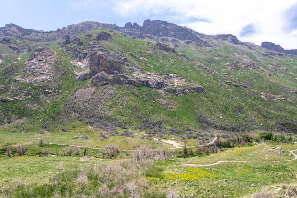 istock Steep Slope in Northeastern Nevada Mountains 1325629518