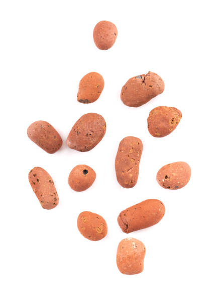 Expanded clay drainage isolated on white background. Whole brown clay pebbles. Top view