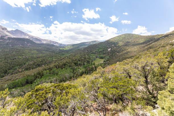 Scenic Overlook in Nevada National Park View across a forested hillside to a valley and distant ridges and peaks in Nevada's Great Basin National Park. great basin national park stock pictures, royalty-free photos & images