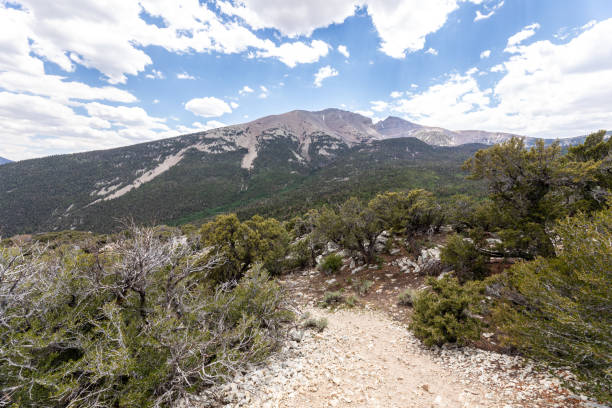 istock Scenic Overlook in Great Basin National Park 1325630488
