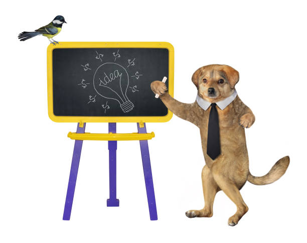 istock Dog near school board on legs 1325631612