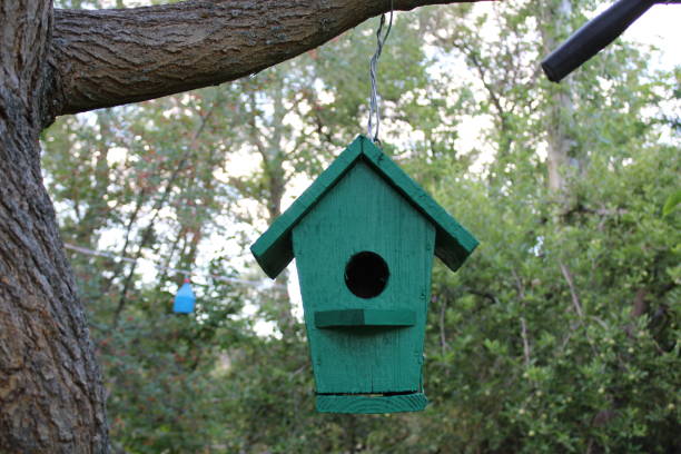 objekt und tier - birdhouse animal nest house residential structure stock-fotos und bilder