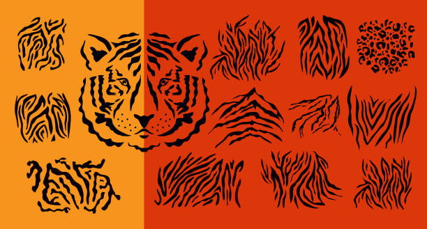 sylwetka głowy ikony tygrysa, tiger- simbol 2022 rok. - tiger lion leopard cartoon stock illustrations