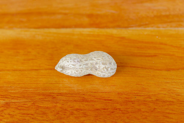 Peanuts on a wooden table. A peanut is placed on a wooden table overlooking the wood grain.