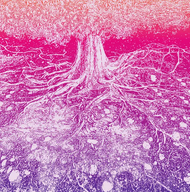 Vector illustration of Dry tree roots vector illustration