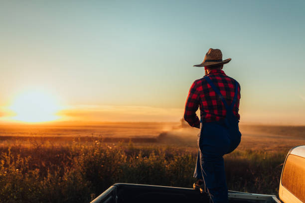 istock It's a farmer's life 1325644630