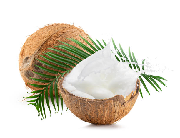 istock coconut with leaf and half of coconut with milk isolated on a white background 1325647794
