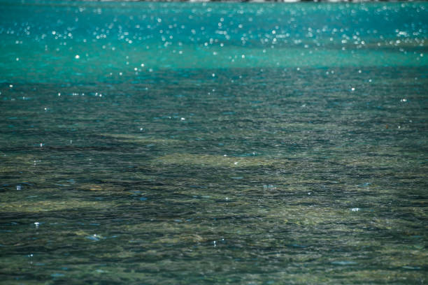 istock Meditative ripple and many reflected lights in green mountain lake. Beautiful relaxing background of stony bottom in turquoise transparent water of glacial lake in sunlight. Nature backdrop of water. 1325652640