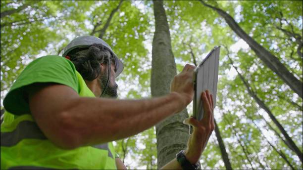 istock Ecologist on fieldwork. Forester examines trees in their natural condition in the forest and taking samples for in-depth research. Ecosystem care and sustainability. 1325652674