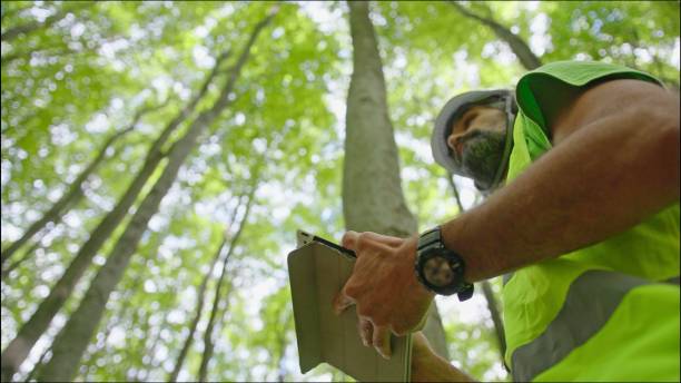 istock Ecologist on fieldwork. Forester examines trees in their natural condition in the forest and taking samples for in-depth research. Ecosystem care and sustainability. 1325652675