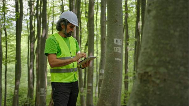 istock Ecologist on fieldwork. Forester examines trees in their natural condition in the forest and taking samples for in-depth research. Ecosystem care and sustainability. 1325652677