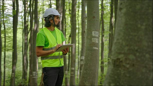 istock Ecologist on fieldwork. Forester examines trees in their natural condition in the forest and taking samples for in-depth research. Ecosystem care and sustainability. 1325652678