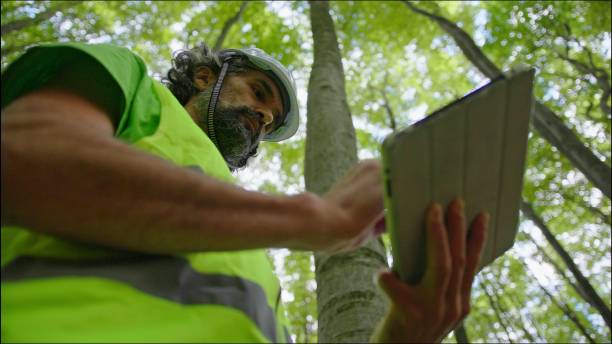 istock Ecologist on fieldwork. Forester examines trees in their natural condition in the forest and taking samples for in-depth research. Ecosystem care and sustainability. 1325652679