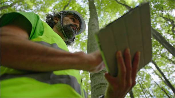 istock Ecologist on fieldwork. Forester examines trees in their natural condition in the forest and taking samples for in-depth research. Ecosystem care and sustainability. 1325652680
