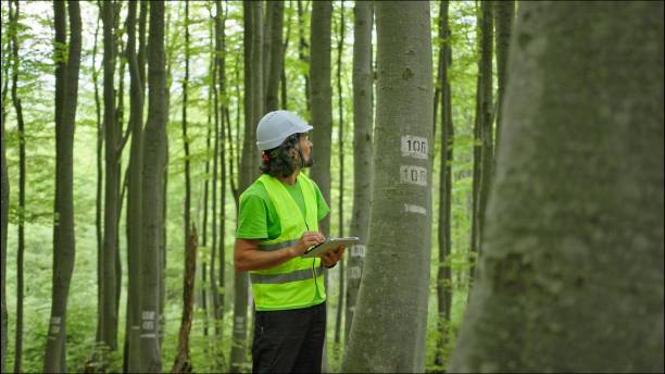 istock Ecologist on fieldwork. Forester examines trees in their natural condition in the forest and taking samples for in-depth research. Ecosystem care and sustainability. 1325652683