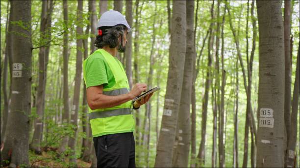 istock Ecologist on fieldwork. Forester examines trees in their natural condition in the forest and taking samples for in-depth research. Ecosystem care and sustainability. 1325652684