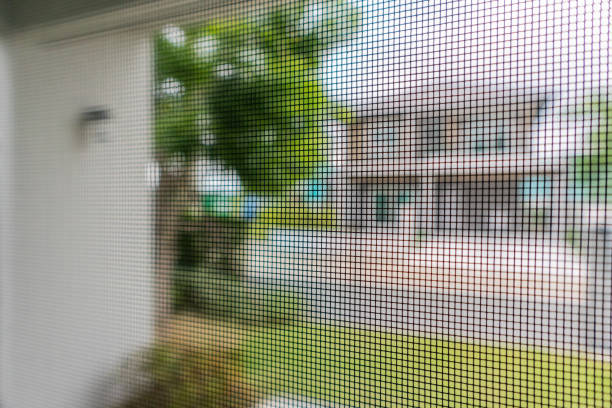 istock mosquito net wire screen on house window protection against insect 1325652730