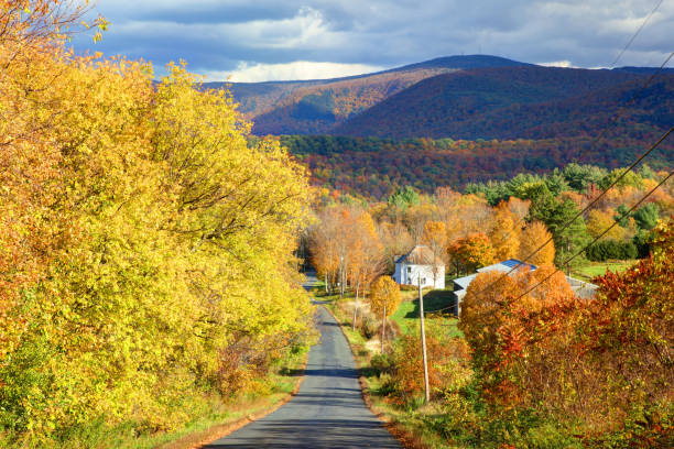 istock Mount Greylock in the Berkshires 1325653184