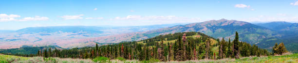 Council Mountain and the town of Council, Idaho as seen from the Indian Mountain fire lookout.