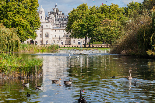 St. James's Park Lake with Horse Guard Parade building in background, London, United Kingdom