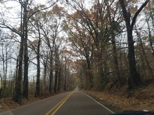 istock Autumn drive on rural street 1325662212