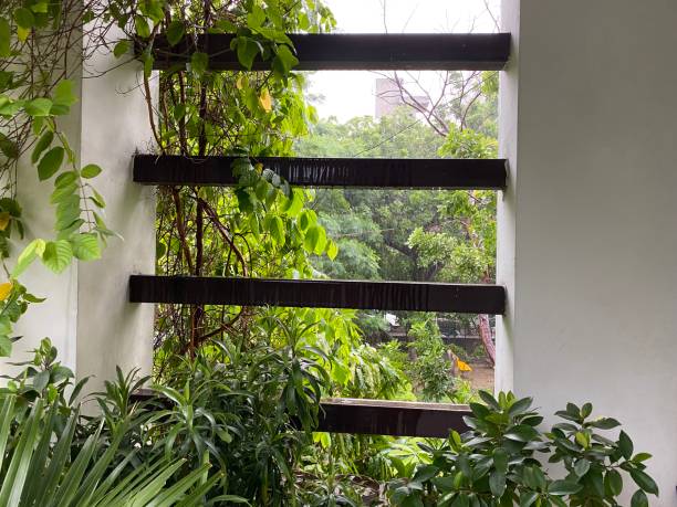 istock View of the ledge with plants and leaves 1325664677