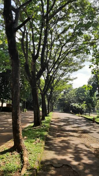 istock City park in Indonesia 1325665502