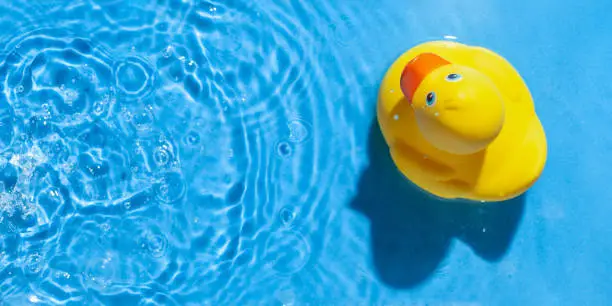 Yellow rubber toy duck in a blue pool. Summer concept. Top View