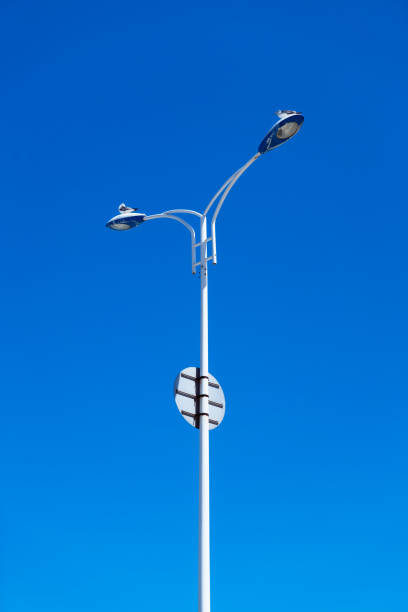 istock Seagull standing on white street lamp 1325666338