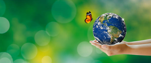 istock World Environment and Green concept. Elements furnished by NASA. 1325668868