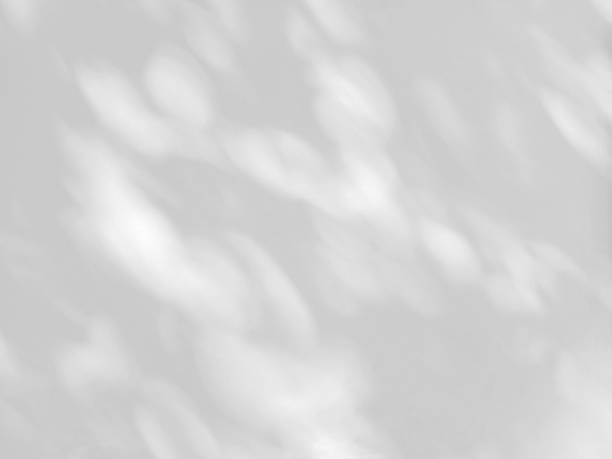istock abstract shadow of leaves on a white wall background 1325671424