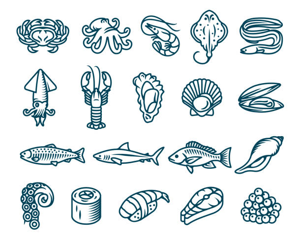 Seafood and fish. Vector isolated icons set. Set of seafood, fish and sea animals vector isolated icons clam animal stock illustrations