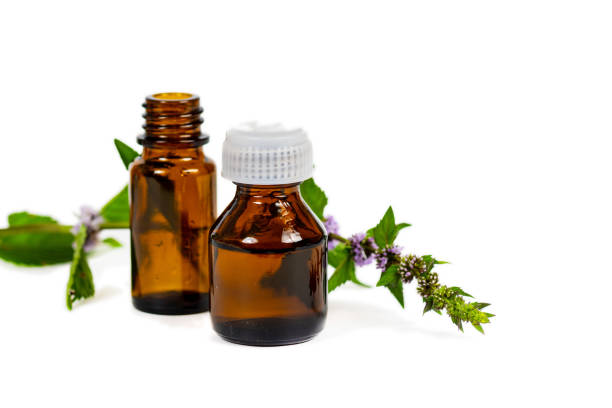 istock brown bottles with flowered mint branch on white background 1325673533