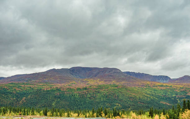 istock Mountains of Alaska in Summer 1325673619