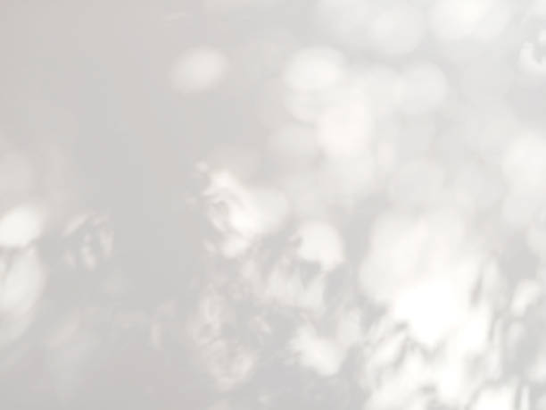 istock Leaves natural shadow and bokeh on a white wall background 1325674346