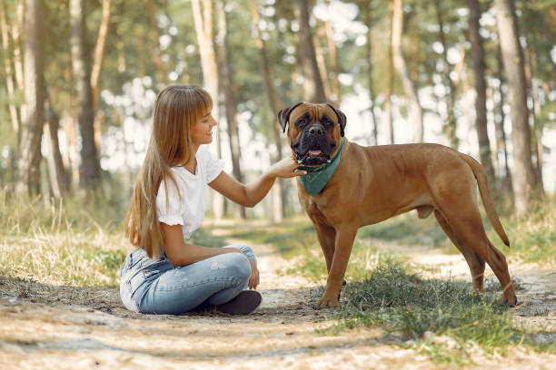 istock Girl in a summer forest playing with dog 1325676285